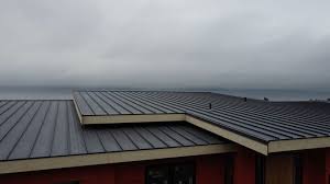 Best Rubber Roofing (EPDM, TPO)  in Weldon, CA